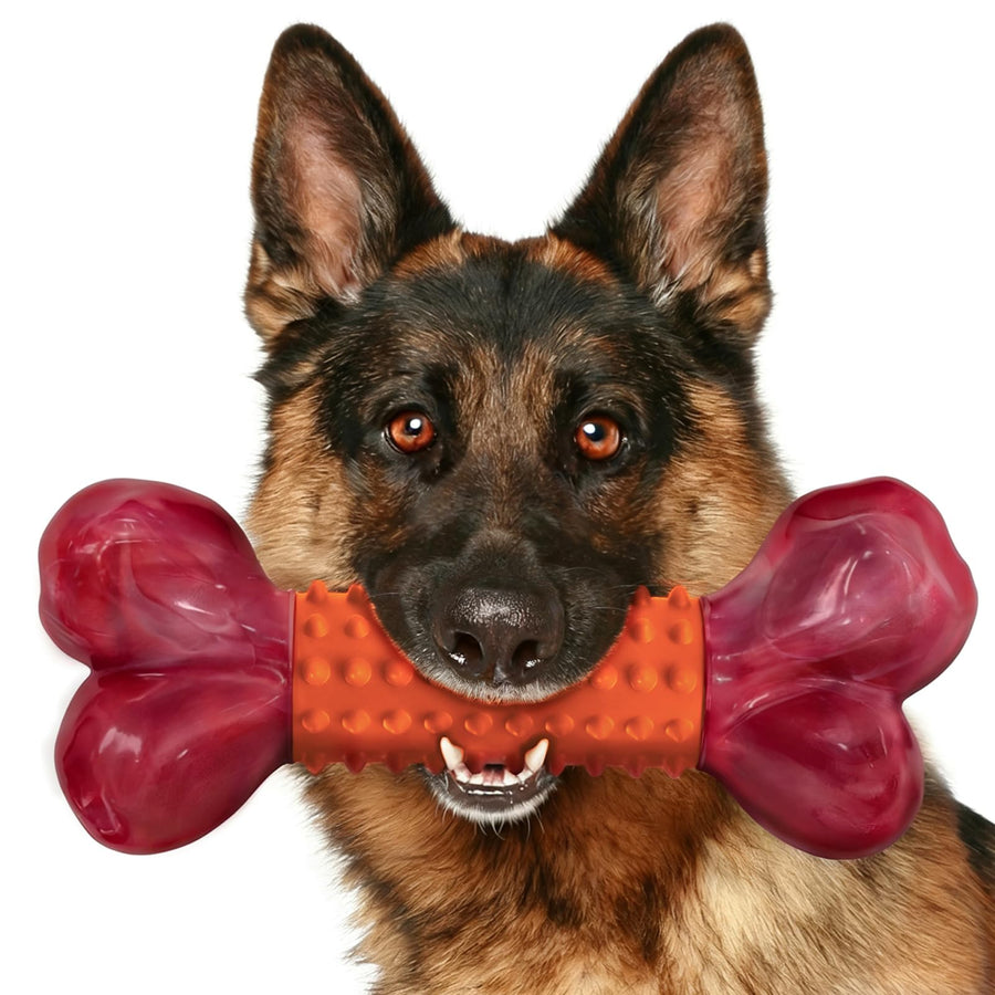 Jouets à ronger pour chien