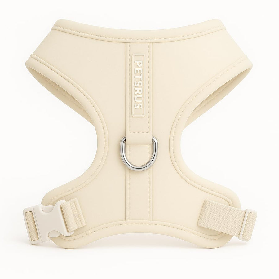 PETsRUS : harnais plastron pour chien