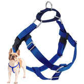 2 Hounds Design Freedom harnais anti-traction pour promenades fluides.