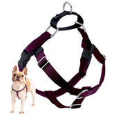 Harnais Freedom No Pull de 2 Hounds Design — vue avant, contrôle renforcé lors des balades.