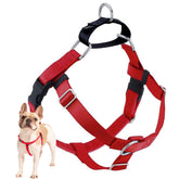 2 Hounds Design Freedom anti-tirage, vue avant et rembourrage confortable.