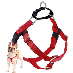 2 Hounds Design Freedom anti-tirage, vue avant et rembourrage confortable.