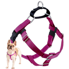 Harnais Freedom de 2 Hounds Design, avant, anti-tirage pour promenades sans traction.