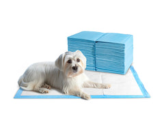 24/7 BAGS couches chiots xl neutralisation odeurs pour une maison plus fraîche