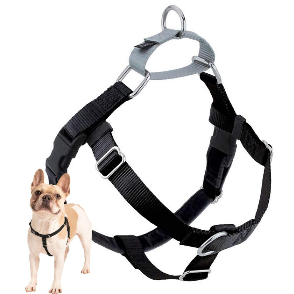 Harnais Freedom 2 Hounds Design en vue d’ensemble pour promenades calmes et contrôlées.