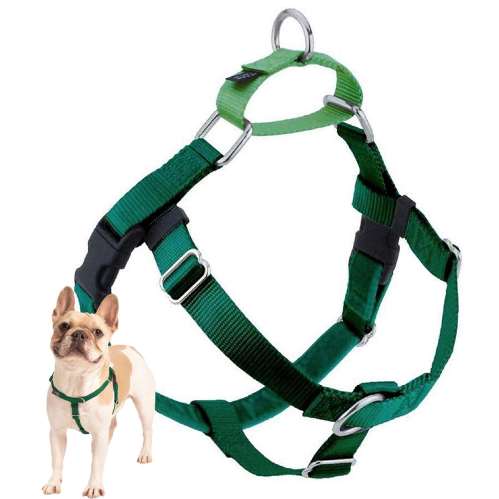 Harnais Freedom de 2 Hounds Design avec doublure Swiss Velvet pour promenades calmes.
