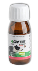 4CYTE Epiitalis Forte Gel – application pratique pour chiens et mobilité quotidienne.