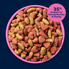 9Lives Plus – forme digeste facilitant l’absorption des nutriments.