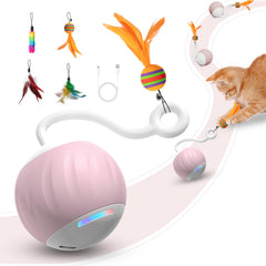 Balle interactive AAA AMUSANG en mode rapide pour chats actifs.