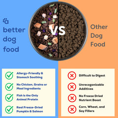 A Better Treat Ocean Blend – bol chien montrant alimentation sans céréales adaptée sensibilités.
