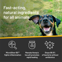 Absorbine Silver Honey, sans antibiotiques, soin sûr pour animaux.