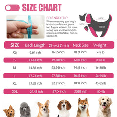 Combinaison Abuandi anti-lechage pour chien, pratique lors de la récupération.