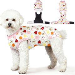 Combinaison Abuandi pour chien post-chirurgie, protection des plaies et confort.