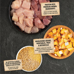 ACANA cereales completes legumes potiron, energie durable et poids sain