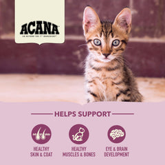 ACANA sans grains, croquettes pour chaton, sans colorants ni conservateurs.