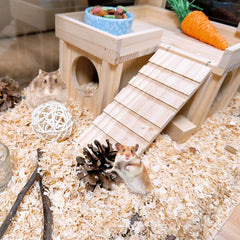 Acsist habitat hamster bois avec toit plat et plateau, espace de jeu polyvalent.