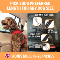 Active Pets, matériaux nylon et alliage zinc, durables pour les trajets.