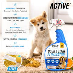 ACTIVE application sur tapis et tapisserie pour eliminer taches