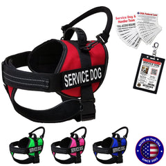 ActiveDogs harnais-service-chien vue générale, confort et sécurité en extérieur.