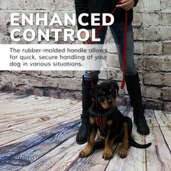 Activedogs porte-carte-id simplifie l identification en public.