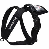 ActiveDogs veste service chien, avant-anneau-d: contrôle efficace lors des sorties quotidiennes.