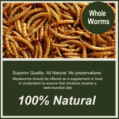 Adaman larves-seches-qualite-naturelle: nourriture naturelle sans additifs.