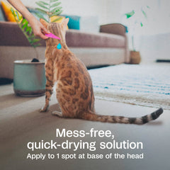 Répartition du produit sur la peau après l’application ADAMS Plus Chat.