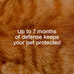 ADAMS Plus action liberation prolongee pour chat, protection durable du pelage.