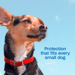 ADAMS Plus technologie libération prolongée, protection continue jusqu'à sept mois