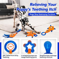 ADDPETS jouet dentition chiot congelable, pour un refroidissement durable.