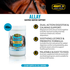 Allay équin base prébiotique soutenant le confort digestif pendant l'alimentation riche en grains.