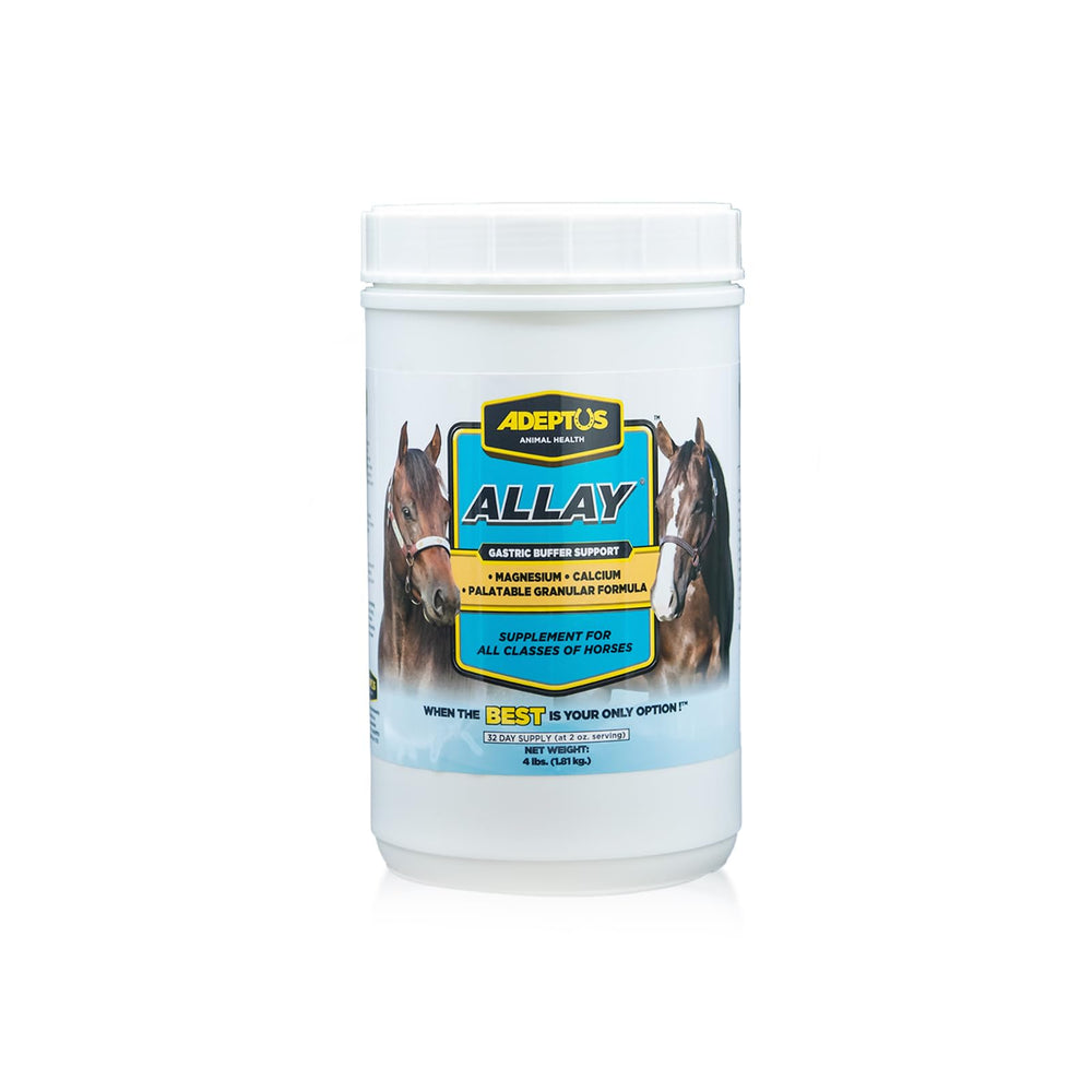 Allay équin d'Adeptus Nutrition, bocal digestif soutenant la fonction intestinale postgastrique.