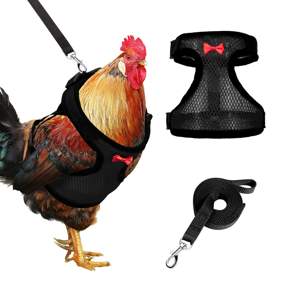 Harnais Adhafera pour poulet avec ajustement double au cou et poitrine, confort et sécurité.