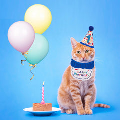 Bandana anniversaire ADOGGYGO bleu avec texte joyeux, confort pour votre chat.