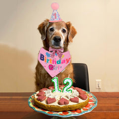 Bandana anniversaire ADOGGYGO rose pour chien, confortable et léger.