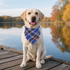 Détail coton doux ADOGGYGO bleu pour le confort quotidien du chien.