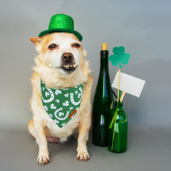 Bandana ADOGGYGO chien motif trefle vert, idéal pour fêtes et séances photo.