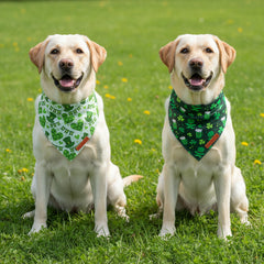Bandana ADOGGYGO verte avec chapeau, parfait pour des séances photo canines.