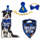 ADOGGYGO chapeau anniversaire bleu pour chien, léger et ajustable pour vos photos.