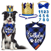 Chapeau anniversaire doré ADOGGYGO, parfait pour photos festives du chien.