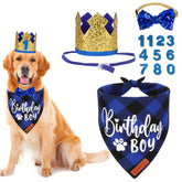 Chapeau anniversaire ADOGGYGO pour chien, effet doré, idéal pour des photos festives.