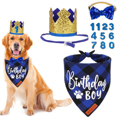Chapeau anniversaire ADOGGYGO pour chien, effet doré, idéal pour des photos festives.