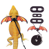 HARNAIS ADOGGYGO dragon barbu avec ailes orange pour sorties en plein air