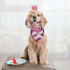 ADOGGYGO chiffres anniversaire chien 0-8 pour marquer l'âge avec style.
