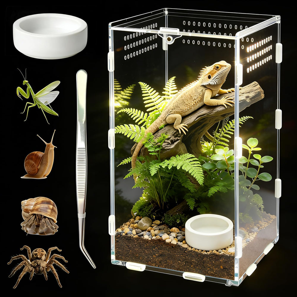 Terrarium Adoture acrylique 15x15x25 cm, porte magnétique pour accès sécurisé.