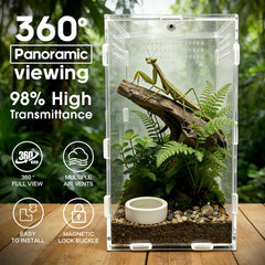 Adoture terrarium 360° vue panoramique pour observer araignées et reptiles.