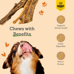 Friandise sans odeur Advance Pet Products pour usage intérieur