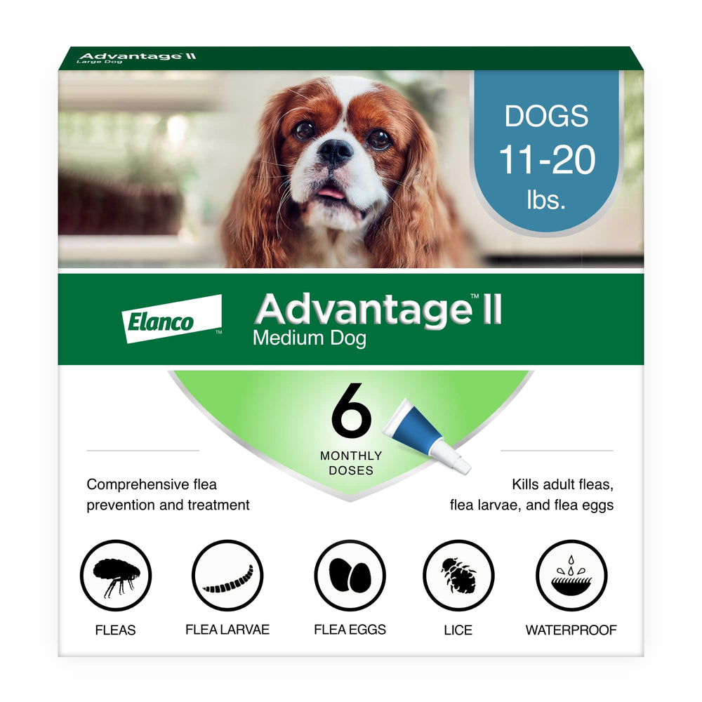Advantage II pour chien moyen — puces après application, démarrage rapide