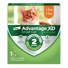 Advantage XD appliqué sur la nuque du chat, démarrage rapide de la protection.