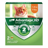 Advantage XD : application sur le cou pour une protection rapide des petits chats.